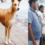 पटना में पागल कुत्ते का आतंक : दर्जनों लोगों को काटा, इलाके में दहशत का माहौल